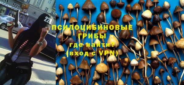 метадон Алексеевка